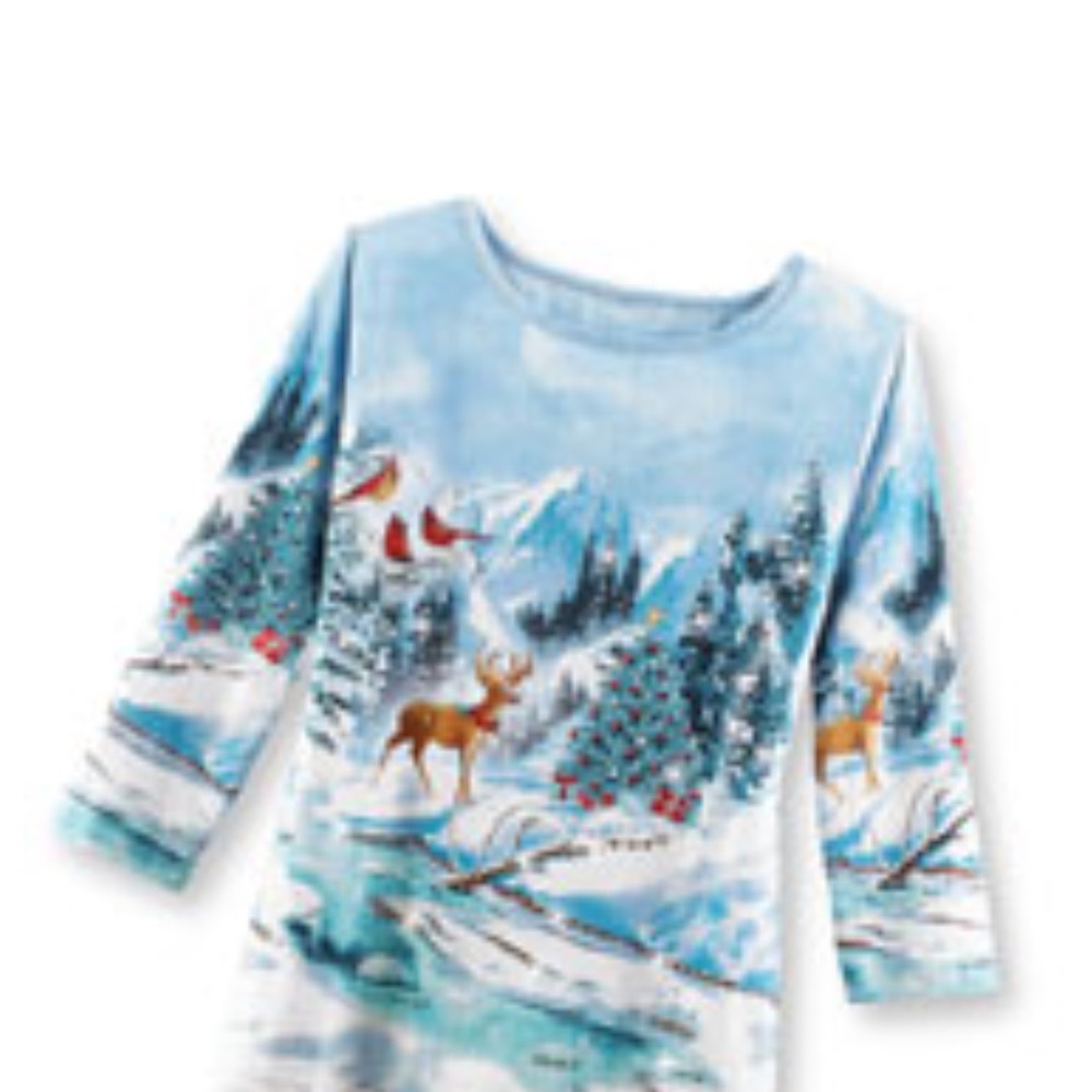 Winter Scene Long Sleeve Top